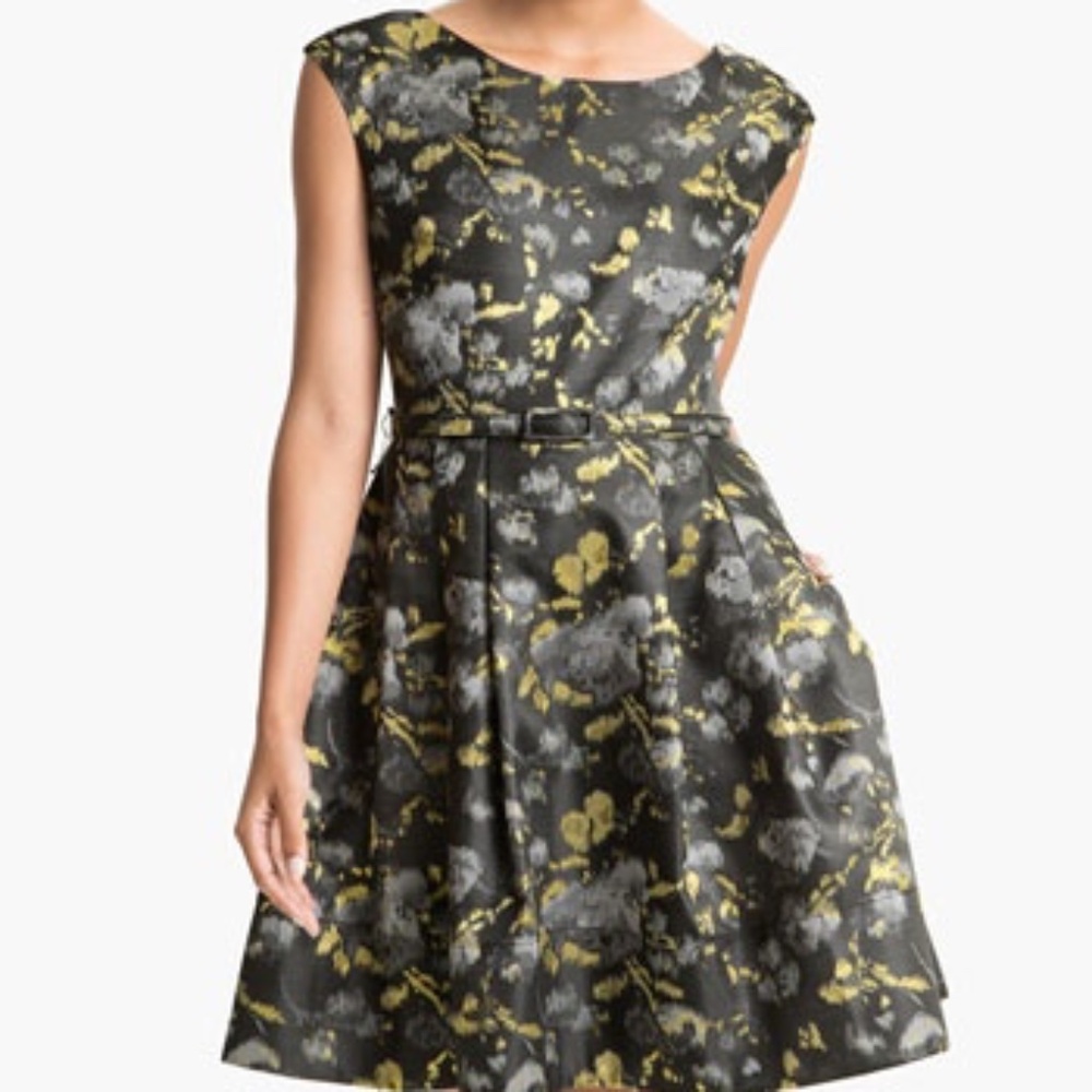 Eliza J Cap Sleeve Jacquard Fit & Flare Dress - Size 6P